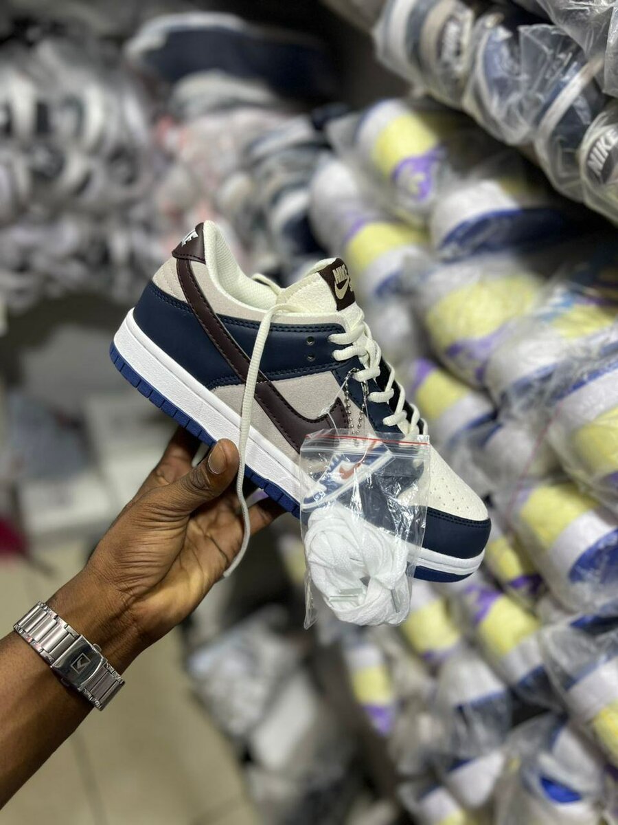 Baskets Nike SB Bleu et Blanc