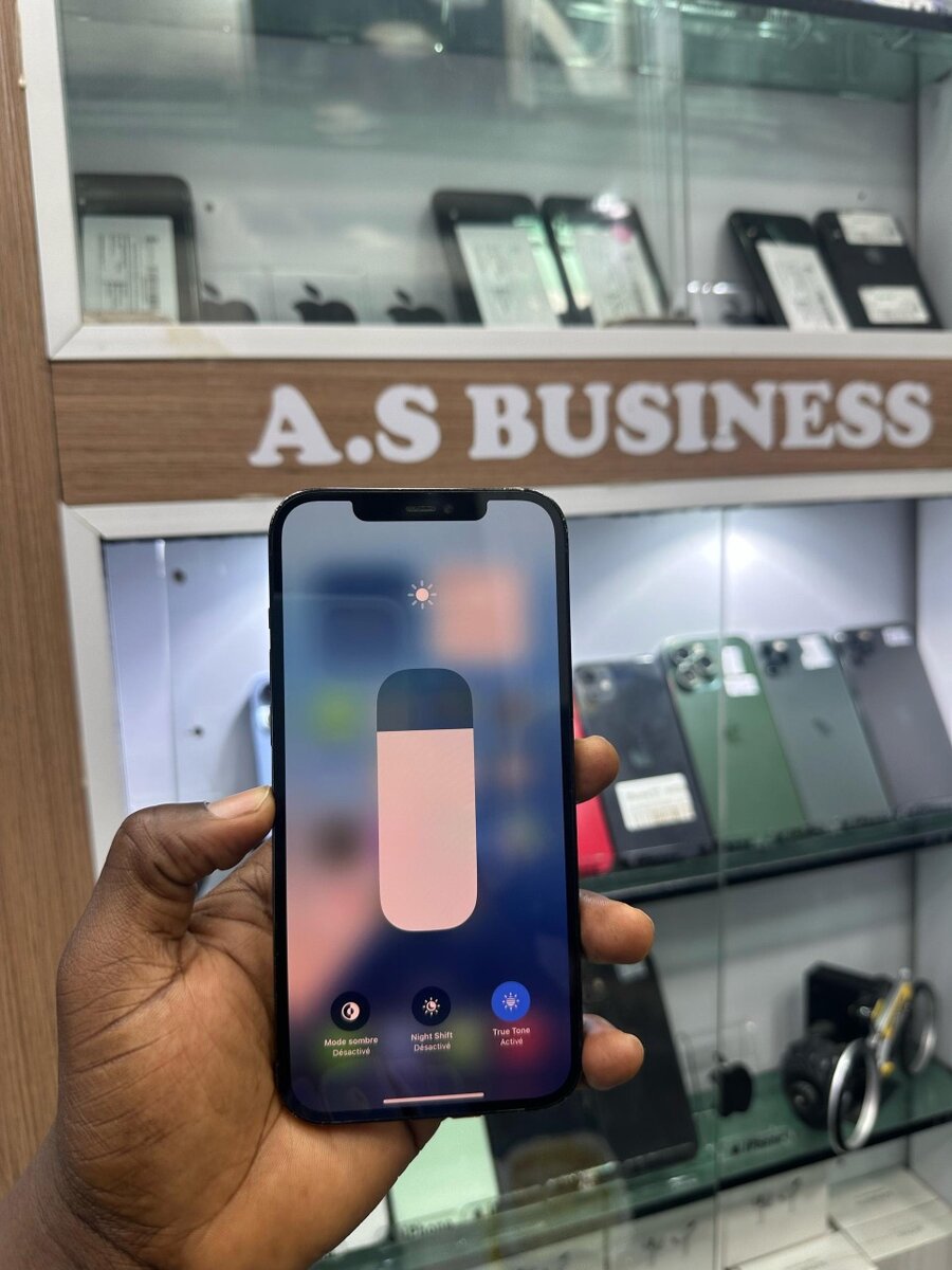 12 pro max 256giga Casi neuf