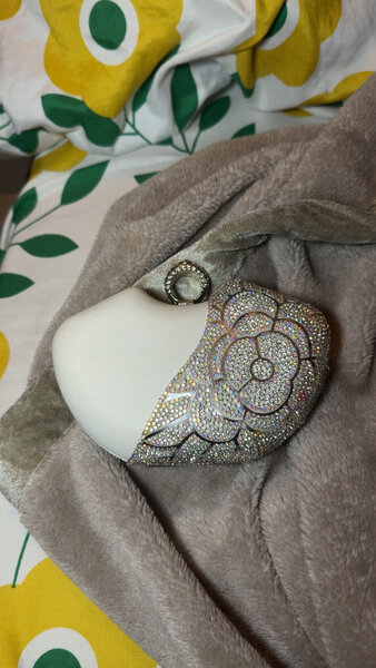 Pochette élégante strass