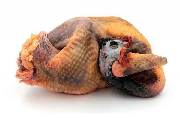 Pintade entière pour cuisine