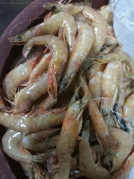 Crevettes