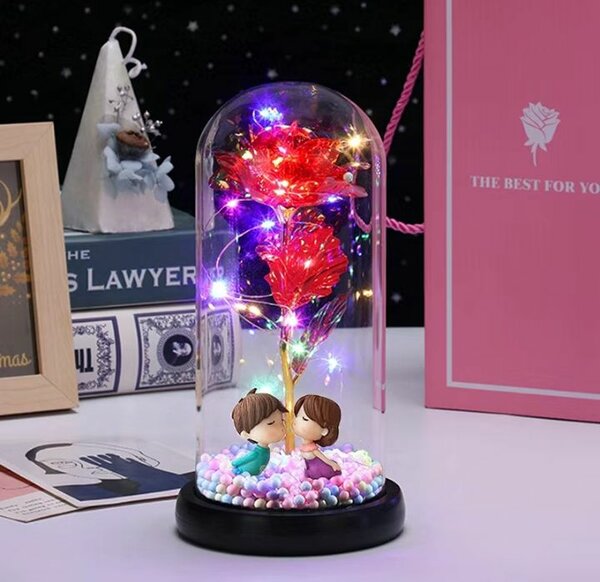 Красивая роза в куполе