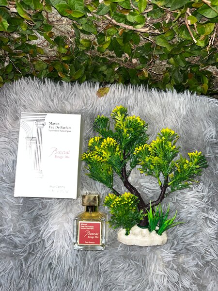 Parfum Unisexe Élégant