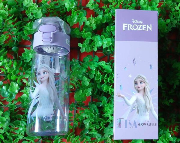Gourde Reine des Neiges Elsa