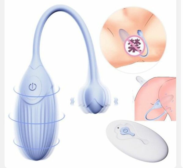 Oeuf Vibrant Télécommandé