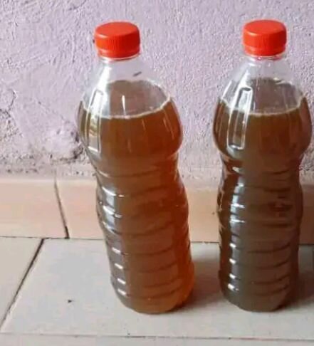 Miel Pur En Bouteille