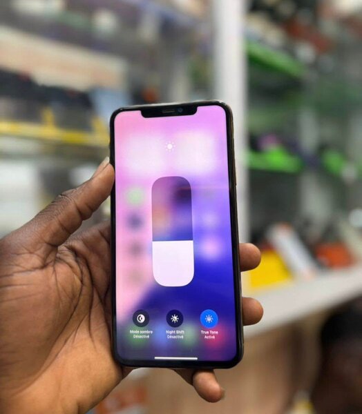 iPhone Pro Max Or 256 Go