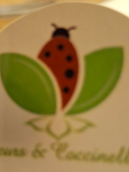 FLEURS ET COCCINELLE