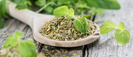 Orageno herbs / spice