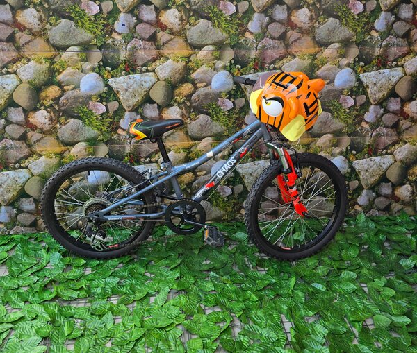 Arrivage de Super Vélos .