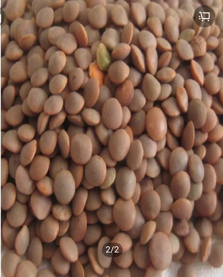 Sabut Daal Masoor - 1 KG Clean