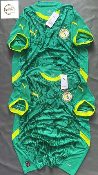 Maillot de Football Puma