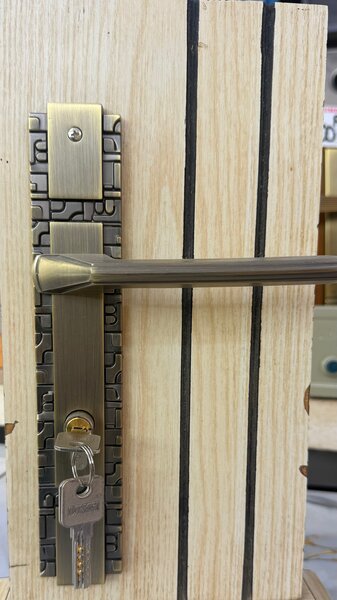 Poignée de porte en laiton