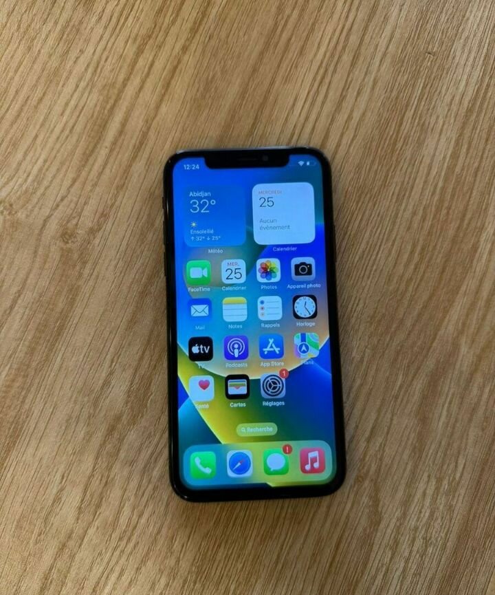 iPhone X