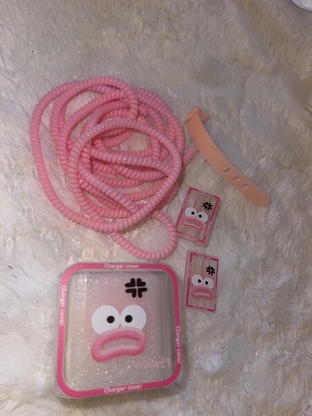 Protective iPhone charger protector