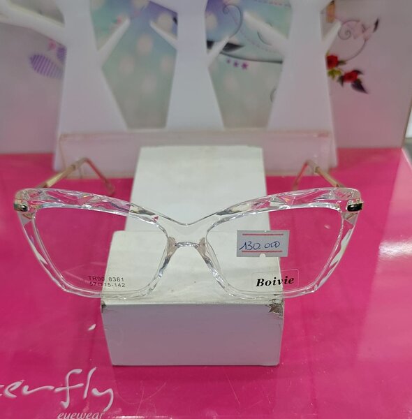 Lunettes élégantes pour femmes