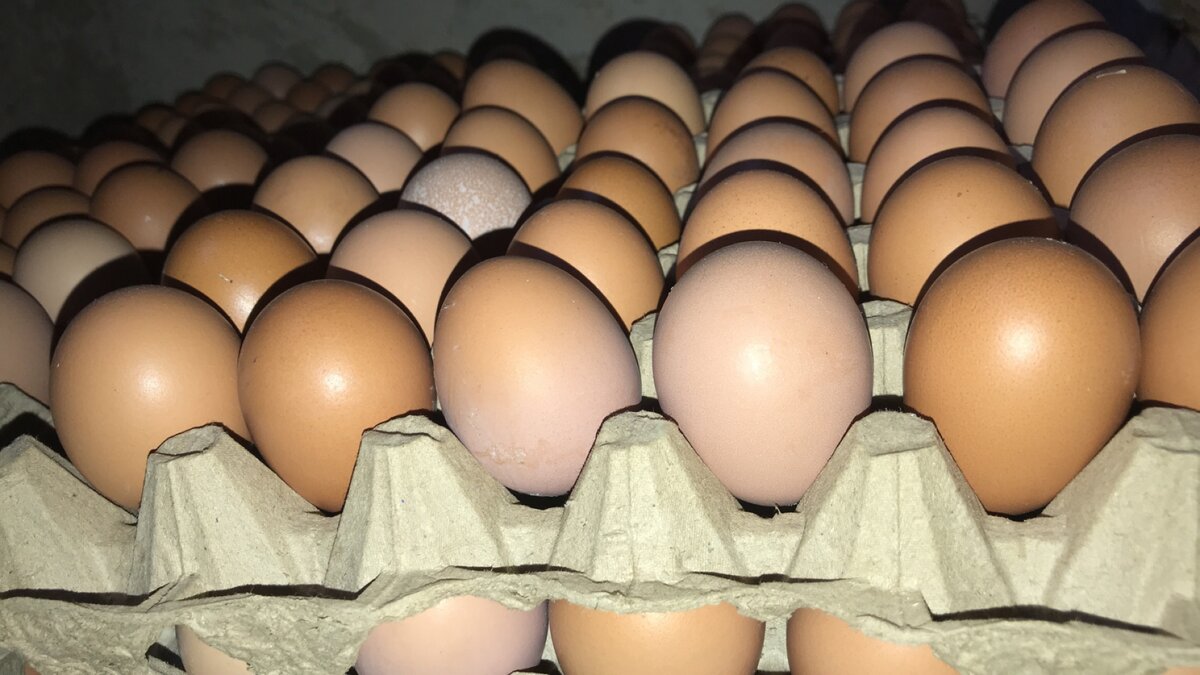 2300 à partir de 14 plaquettes