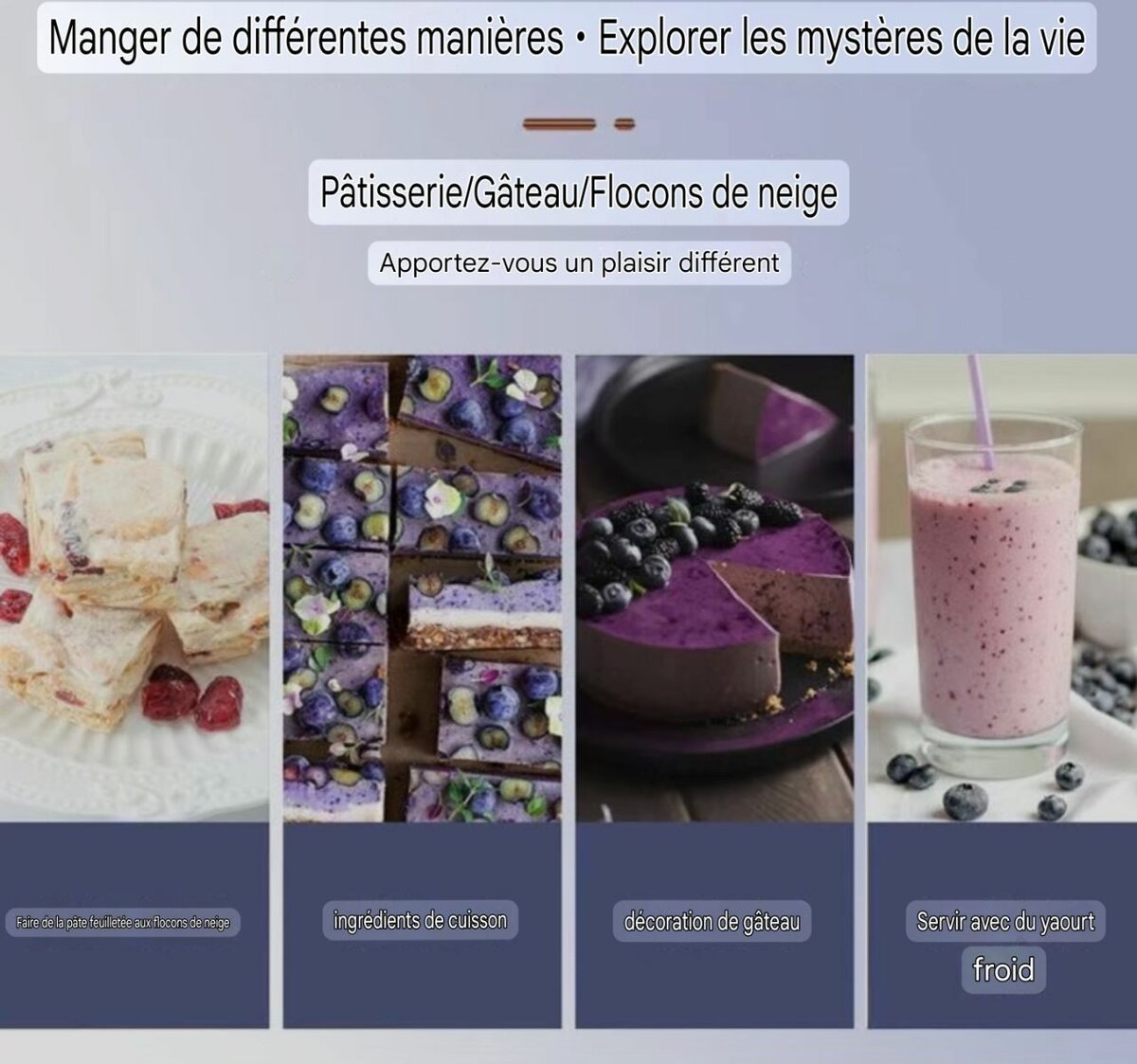 500 g Myrtille sauvage sèche