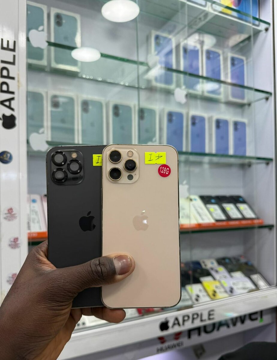 12 Pro Max 128Go sans Face id