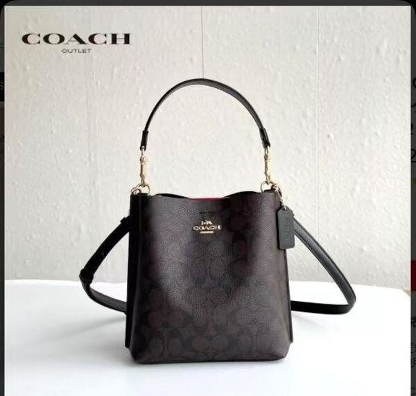 Sac à main Coach élégant