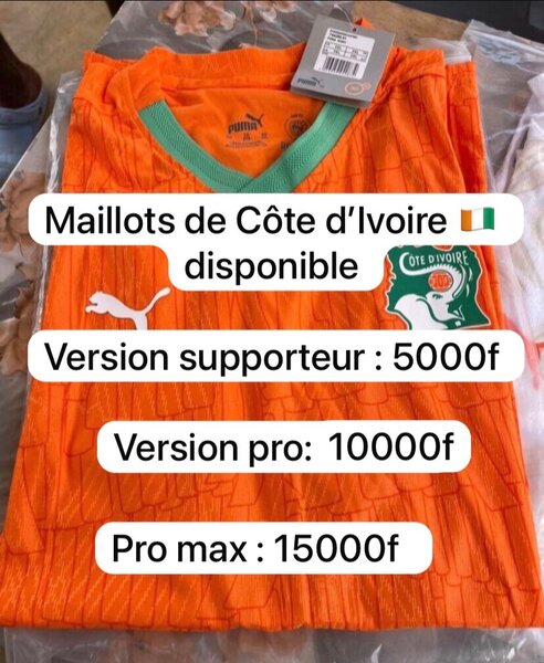 Maillot Côte d'Ivoire Puma