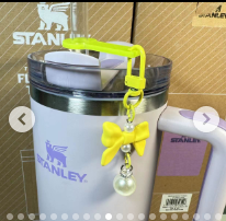 Stanley Cup Accessories