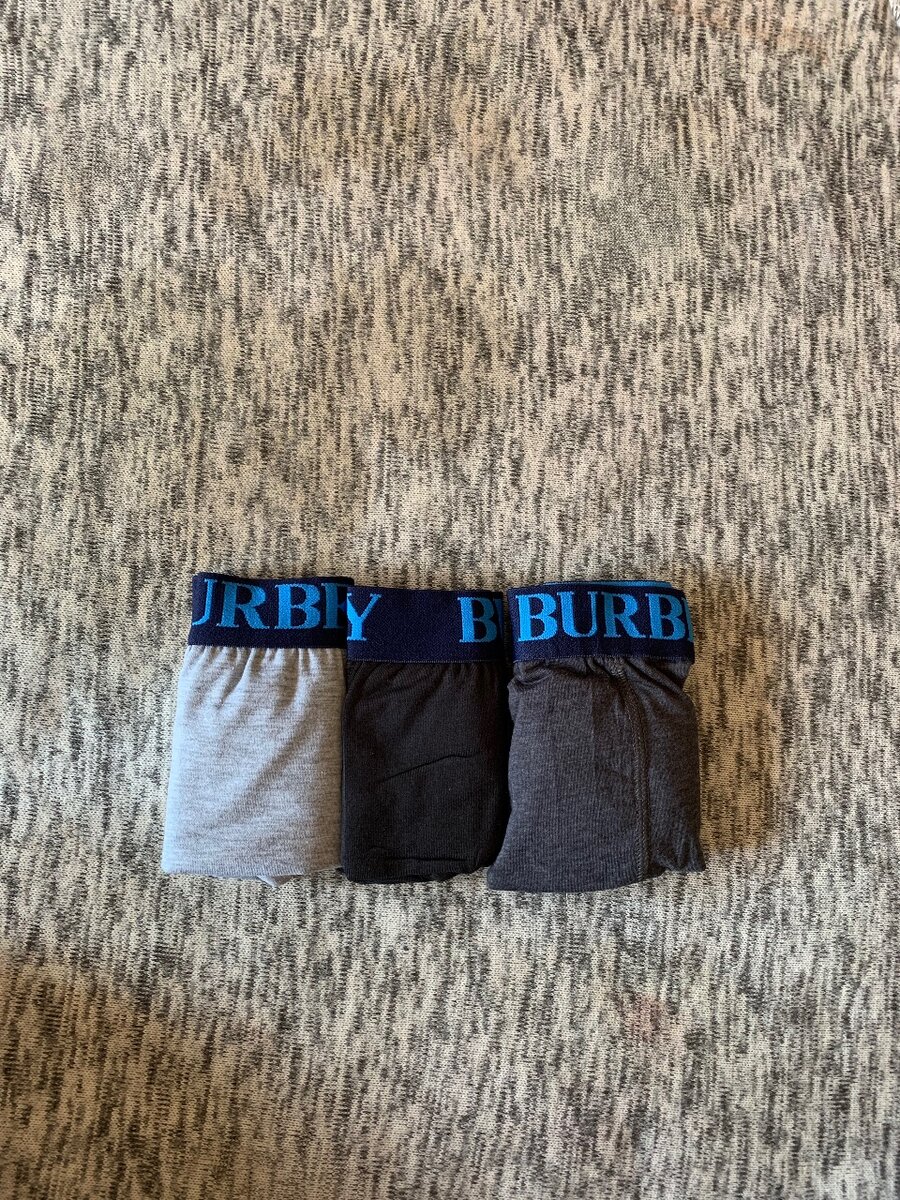 Executive Mens briefs