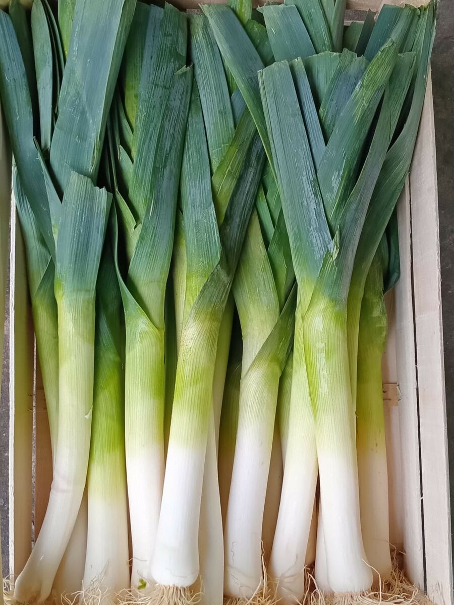 Poireaux frais bio 10kg