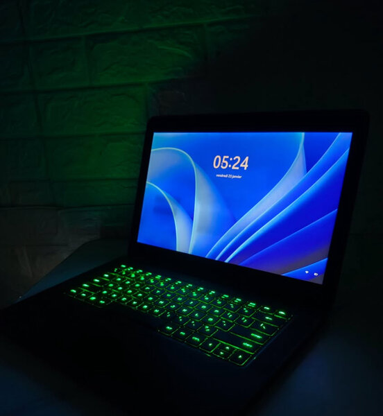 Ordinateur portable Razer avec GTX 870M
