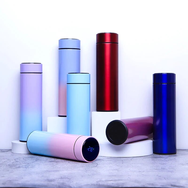 LED Temperature Water Bottle