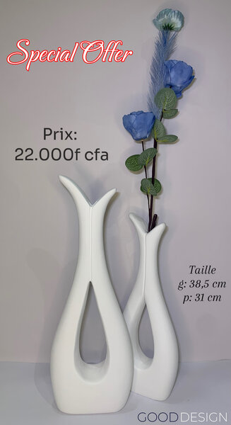 Vases décoratifs modernes