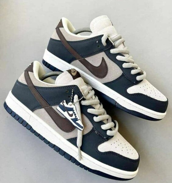 Chaussure Nike SB