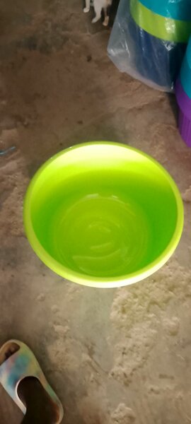 Bassine en plastique colorée