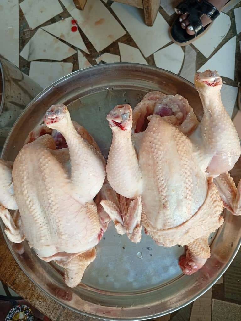Poulet bio