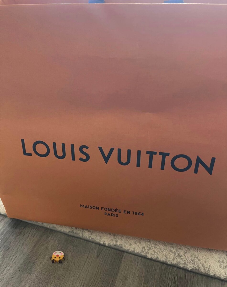 Sac Louis Vuitton Monogram
