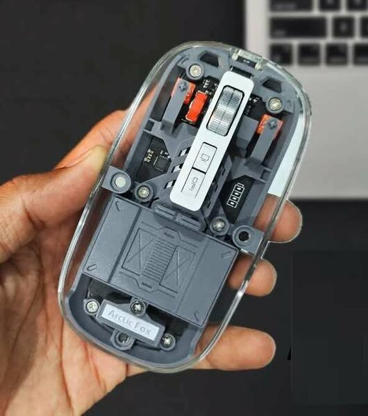 Souris transparente sans fil