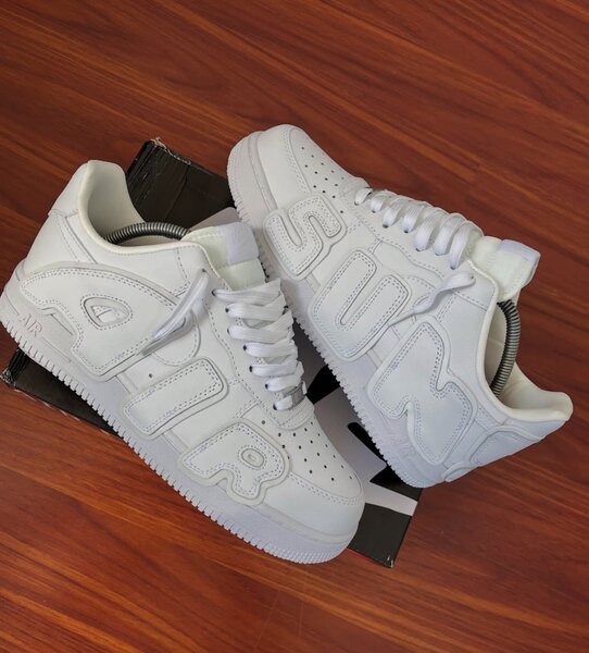 Air Force cactus flea