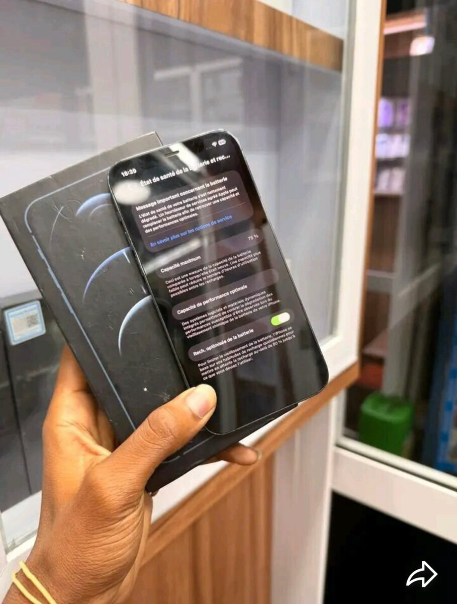 iPhone 12 Pro Max 256Go Bleu