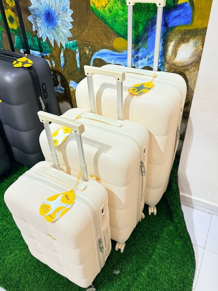 Valise à roulettes élégante