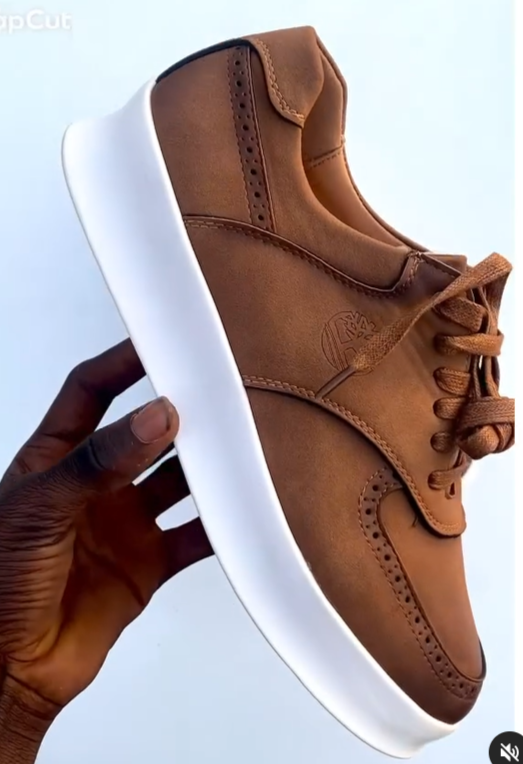 Men's Casual Shoes, brown