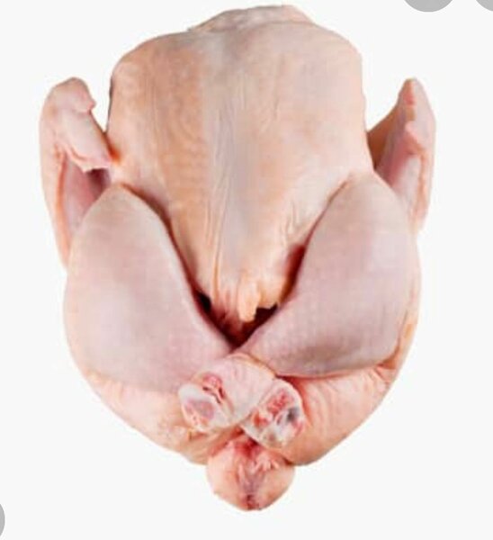 Poulet entier frais