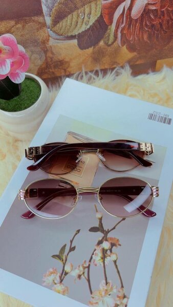 Lunettes de Soleil Élégantes