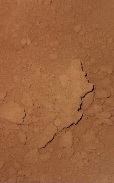 Poudre de Cacao Pure