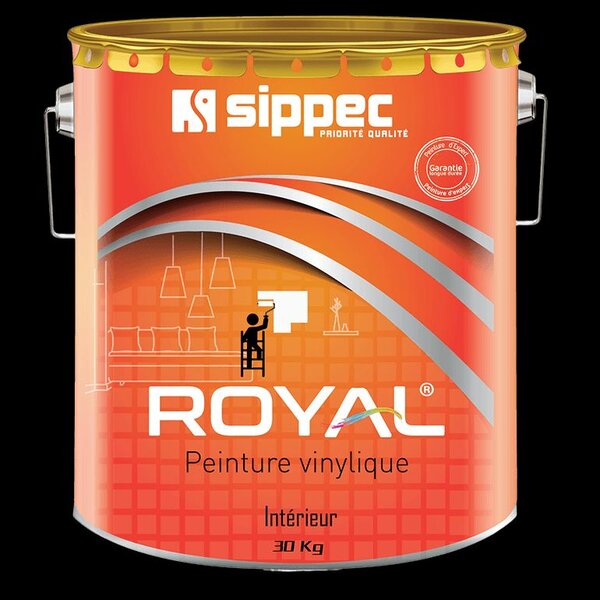Peinture Vinyle Intérieur 30kg