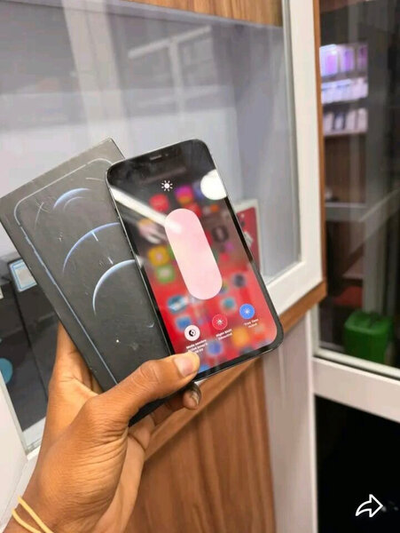 iPhone 12 Pro Max 256Go Bleu