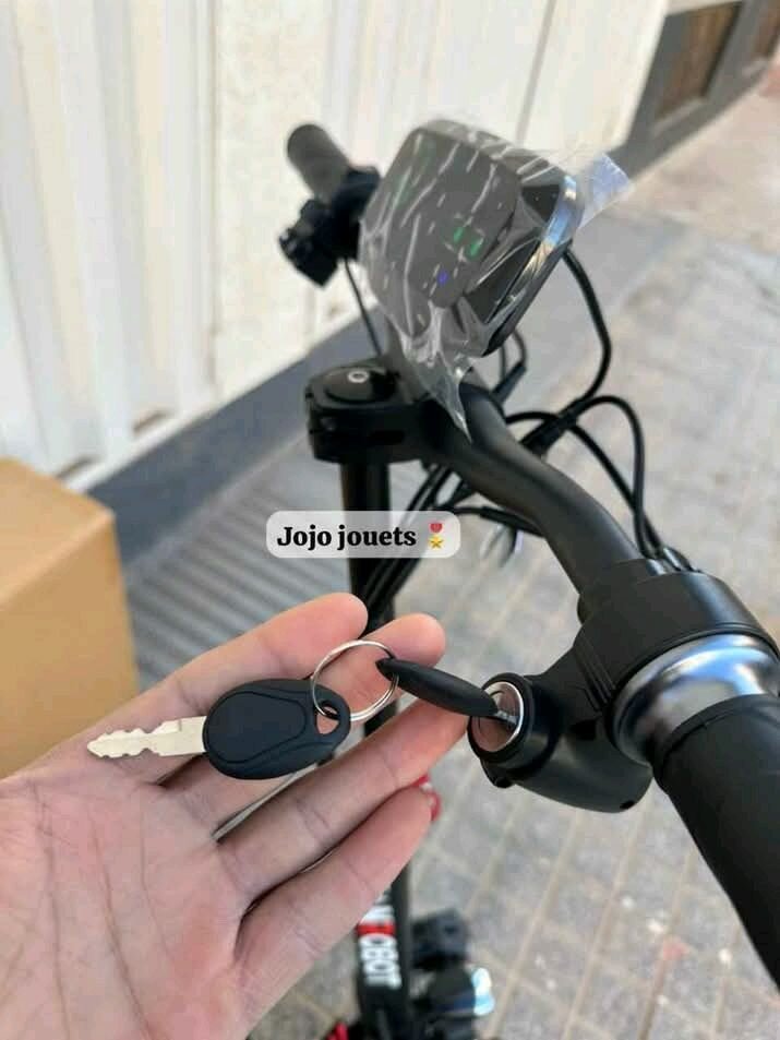 Trottinette Électrique Puissante