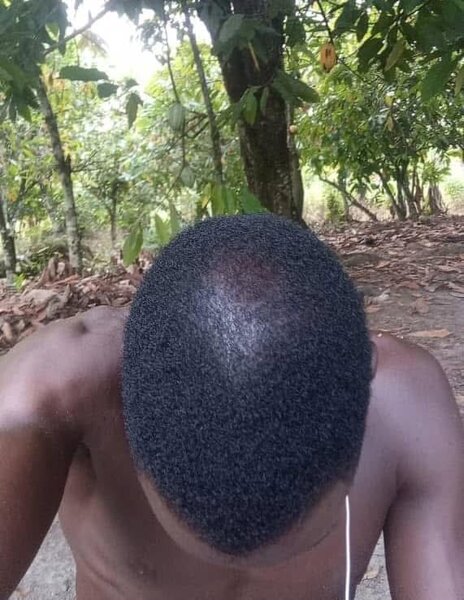 Shampoo anti-chute puissant