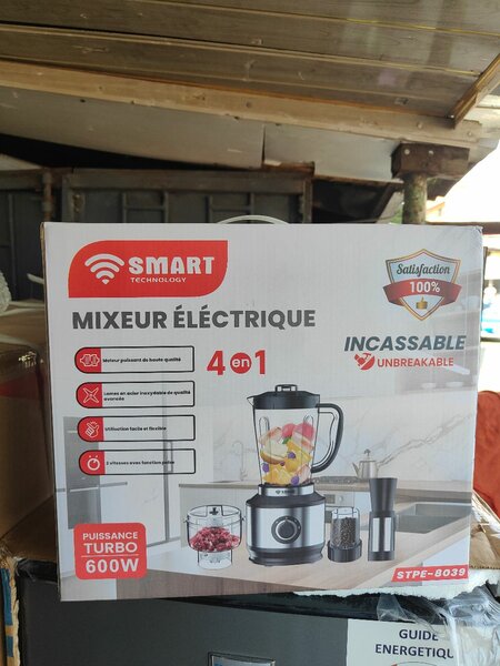 Mixeur Électrique 4 en 1 600W