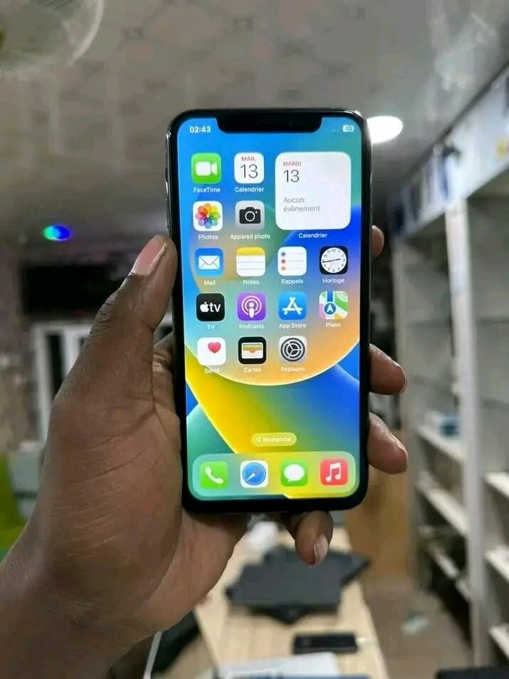 iPhone X
