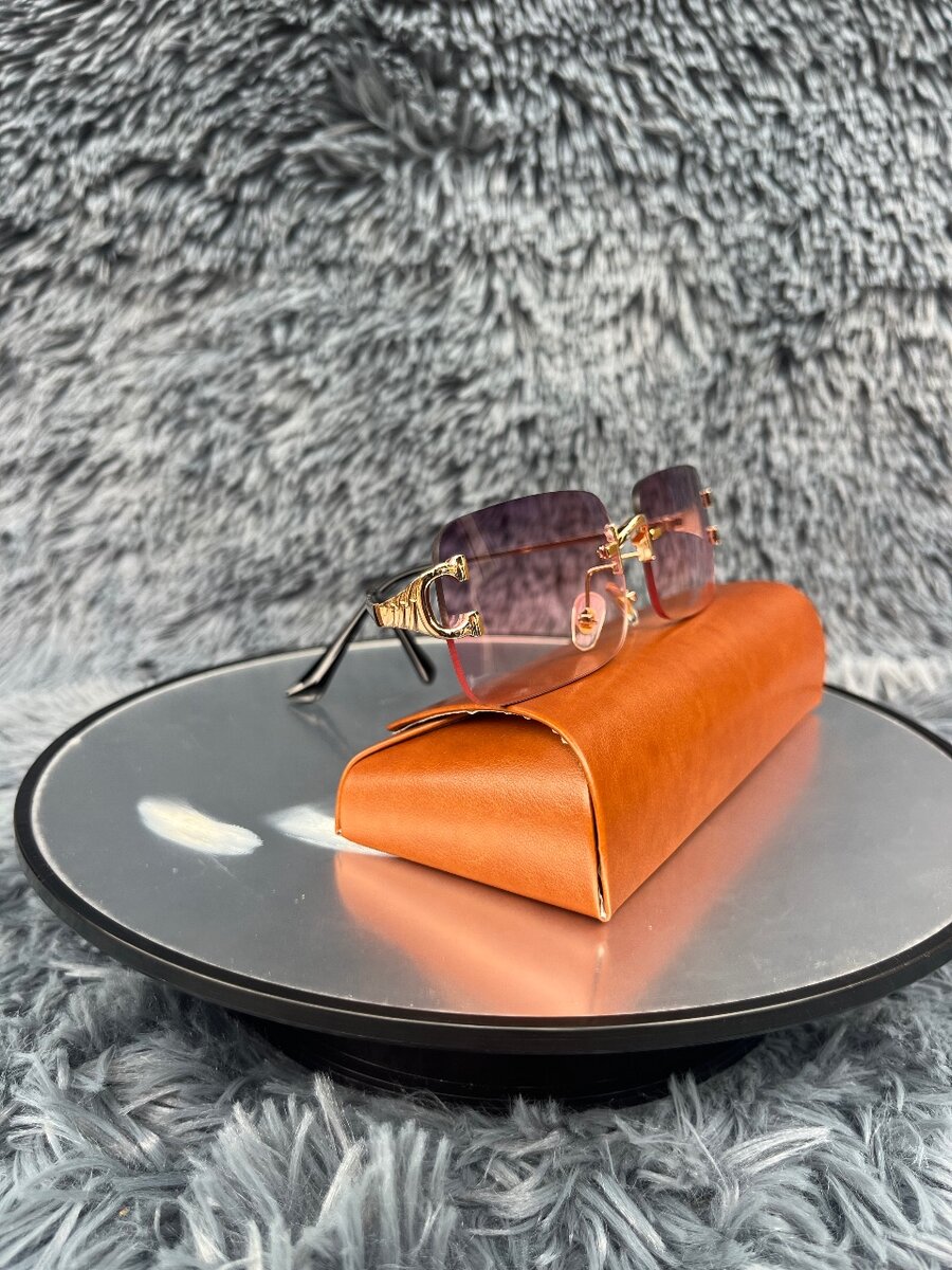 Lunettes de soleil élégantes